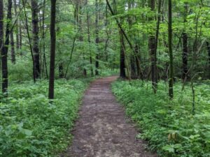 PXL_20220612_160314470_edited