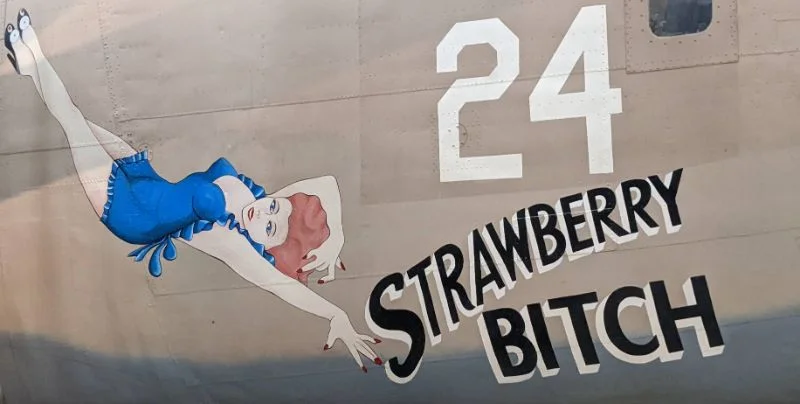 strawberry bitch