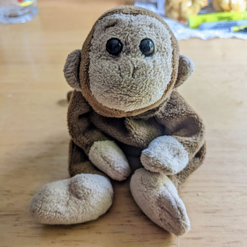 road monkey not road turtle