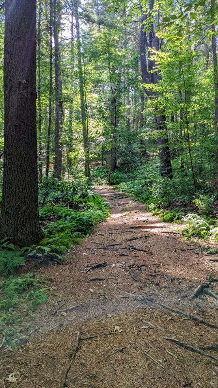 Escape to the Wild: Your Guide to Tankerhoosen Wildlife Refuge