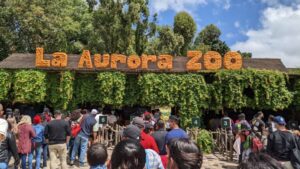 PXL_20220731_162159386.MP