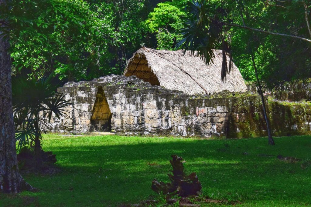 tikal national park two travel turtles