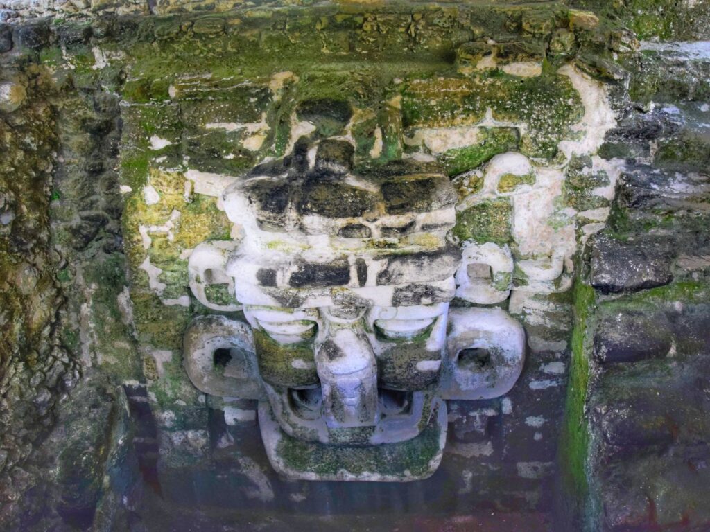 tikal national park two travel turtles