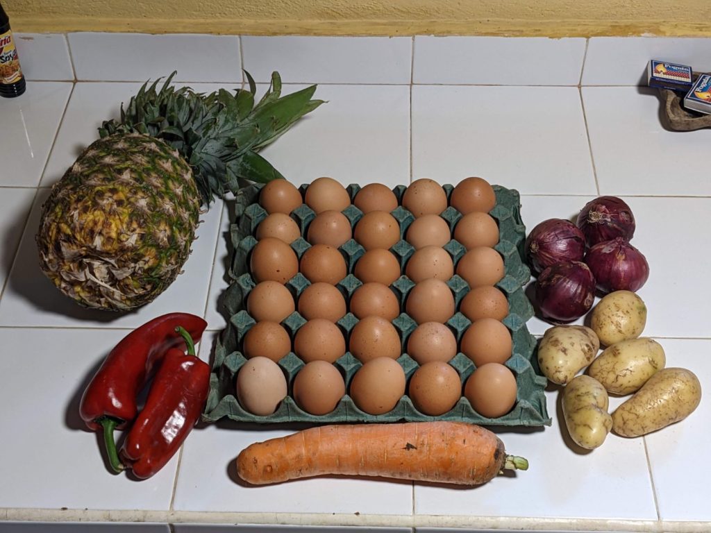 Lake Atitlán Two Travel Turtles