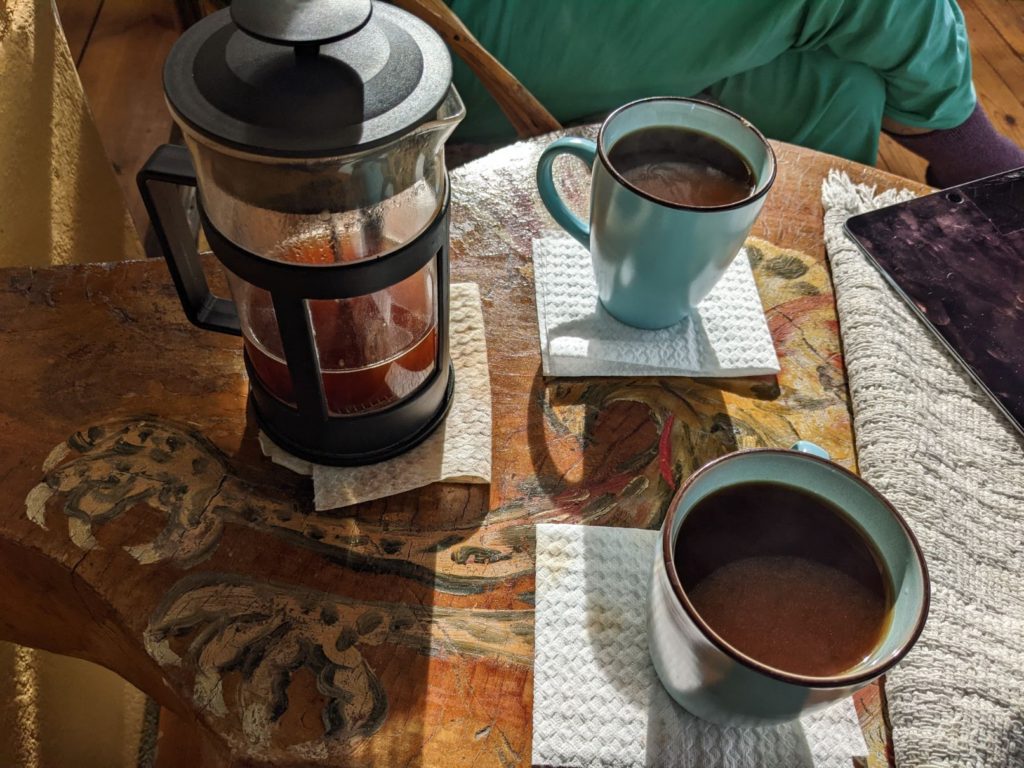 Typical Day for Two Travel Turtles