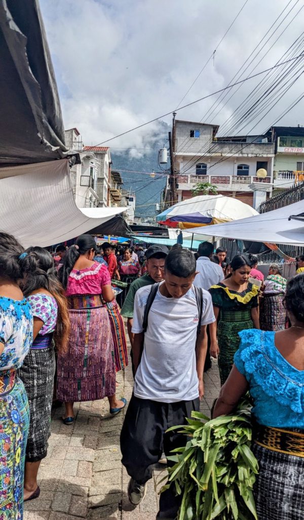 Lake Atitlán Two Travel Turtles