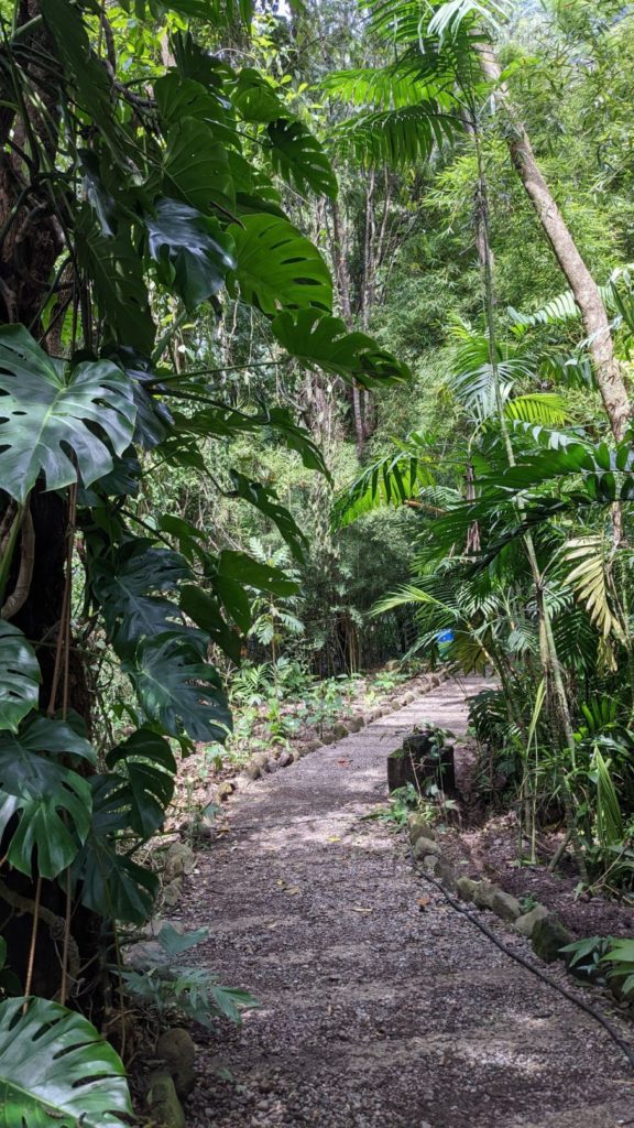 Reserva Natural Atitlán two travel turtles
