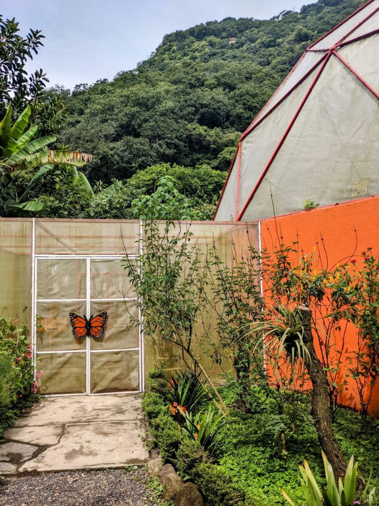 Reserva Natural Atitlán two travel turtles