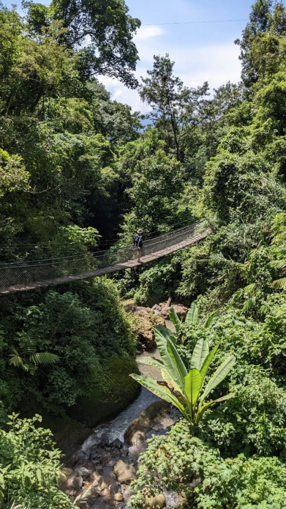 Reserva Natural Atitlán two travel turtles