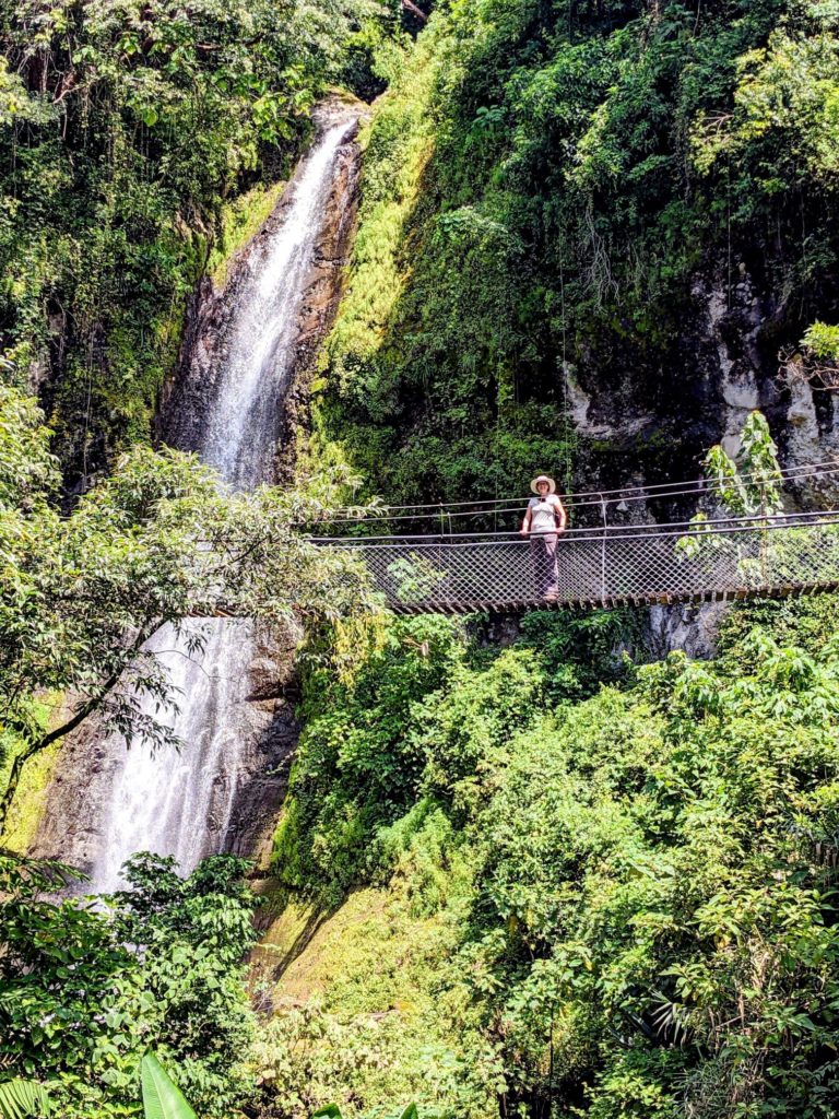Reserva Natural Atitlán two travel turtles