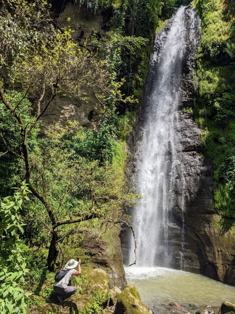 Reserva Natural Atitlán two travel turtles