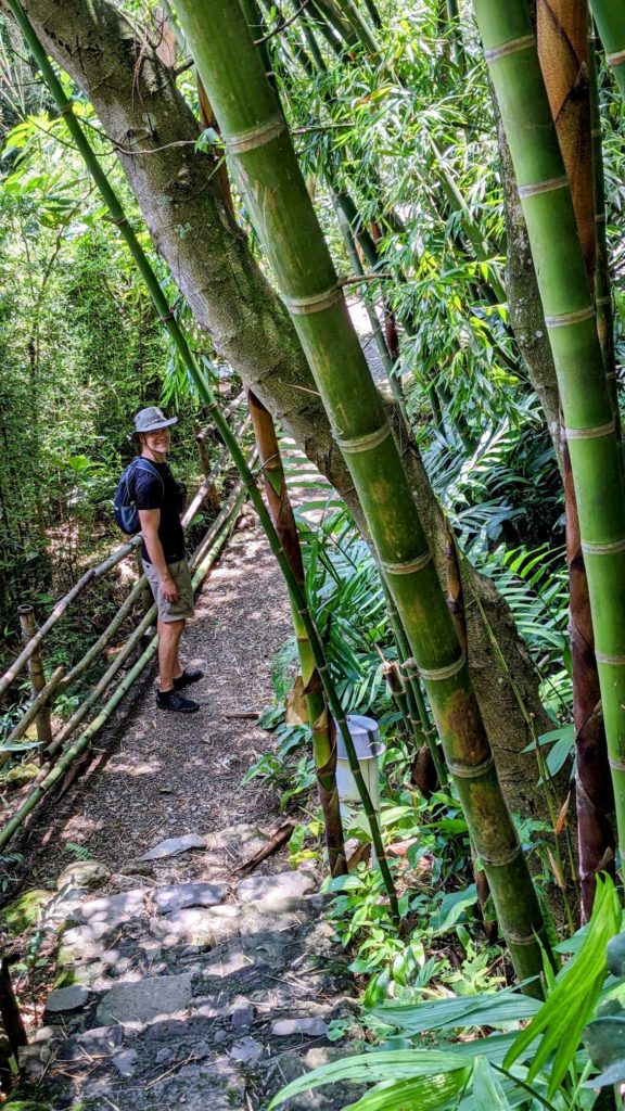 Reserva Natural Atitlán two travel turtles