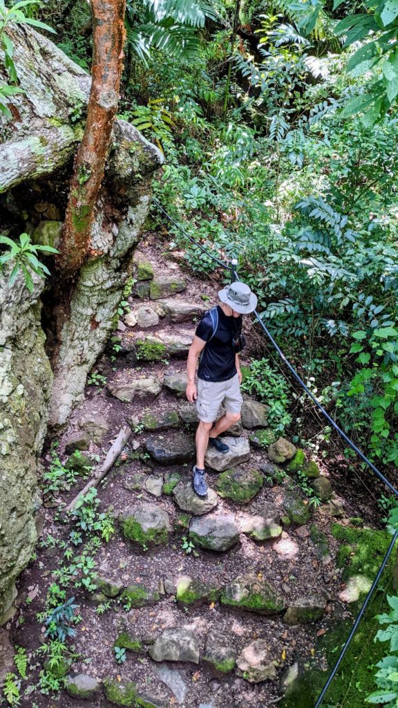 Reserva Natural Atitlán two travel turtles