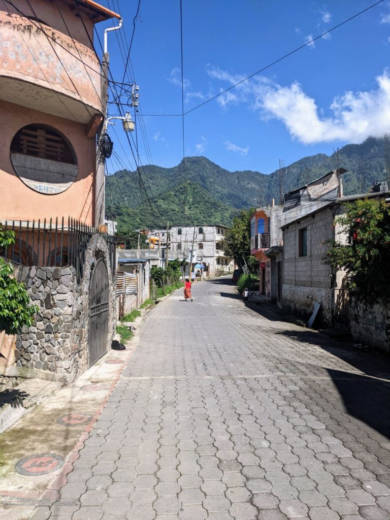 Lake Atitlán Two Travel Turtles