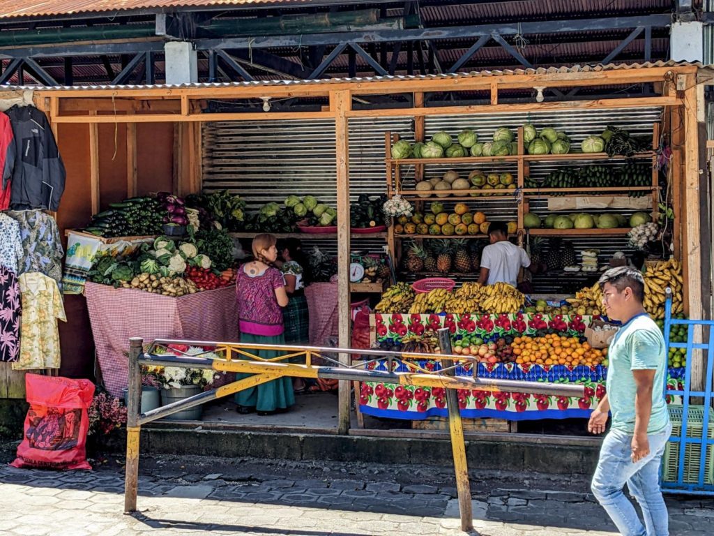 Lake Atitlán Two Travel Turtles