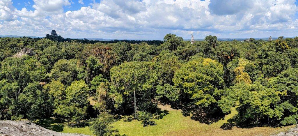tikal national park two travel turtles