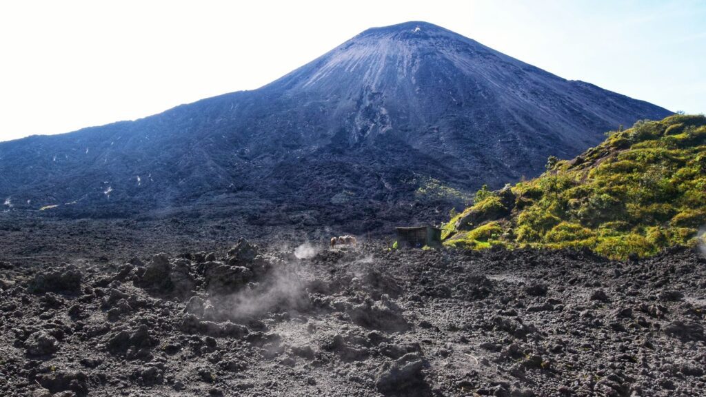 volcan pacaya two travel turtles