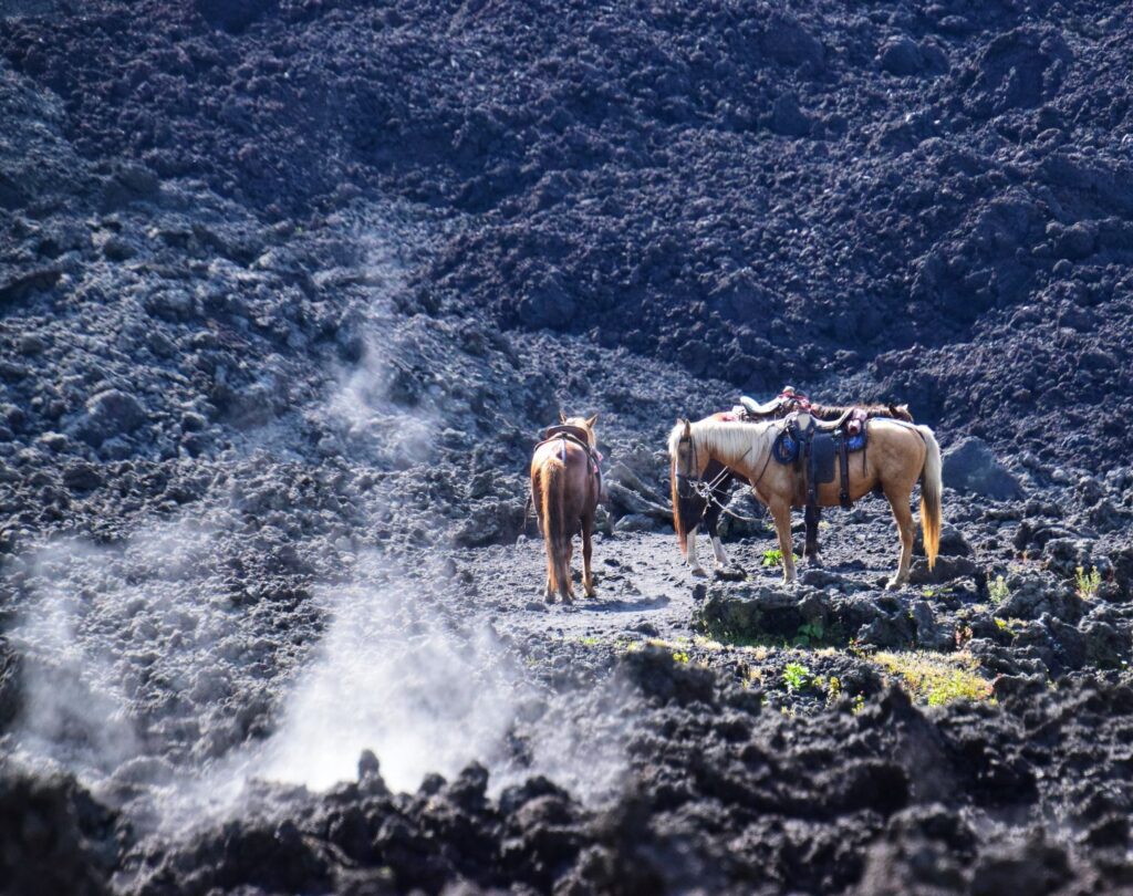 volcan pacaya two travel turtles