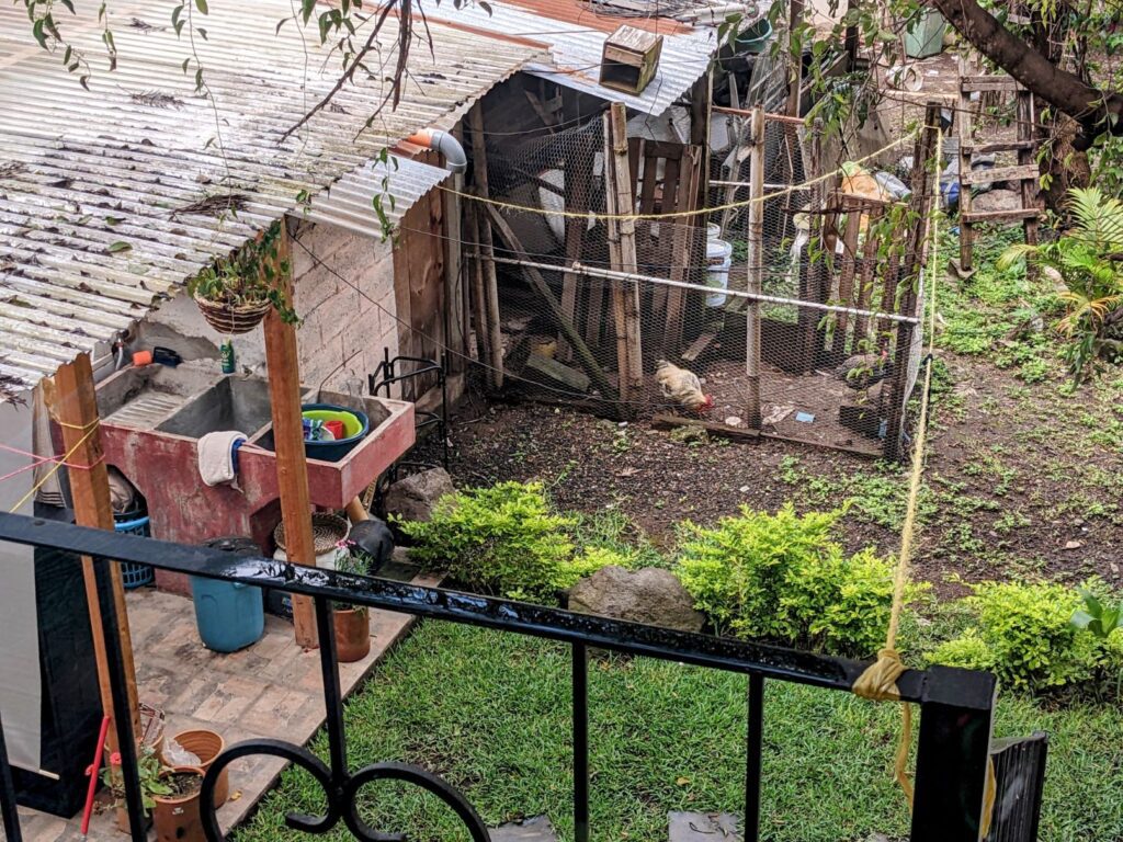 antigua guatemala two travel turtles