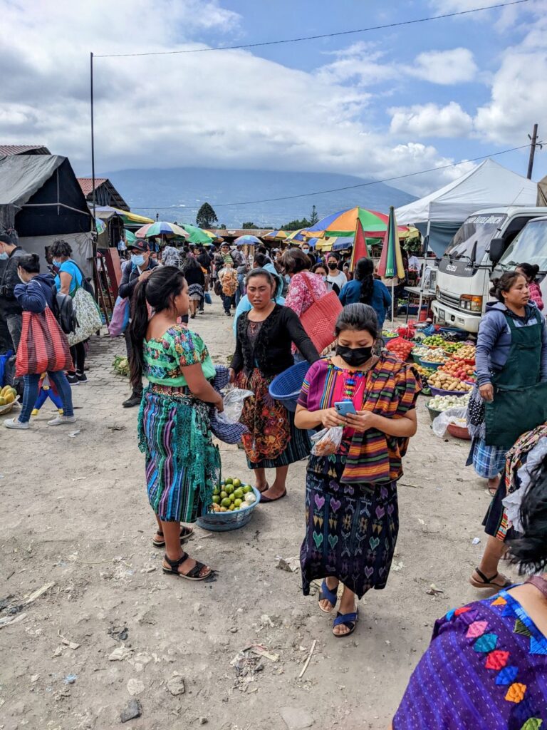 October 2022 budget report two travel turtles