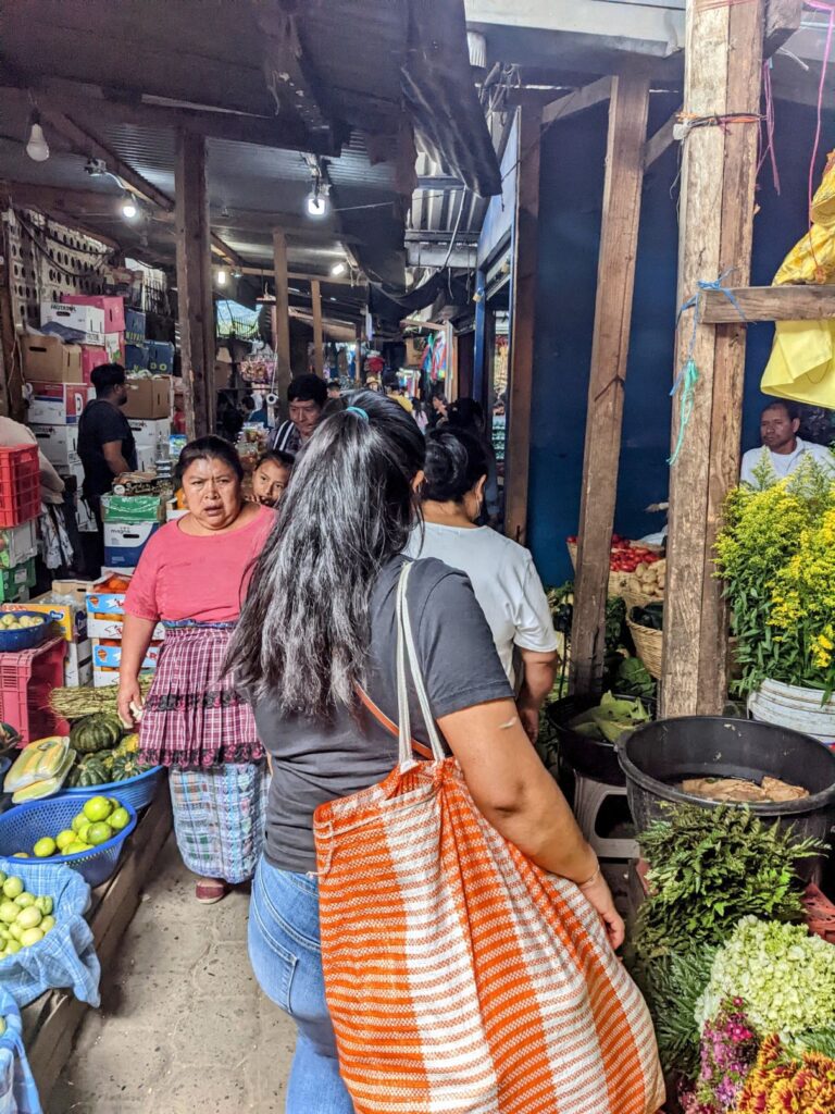 October 2022 budget report two travel turtles