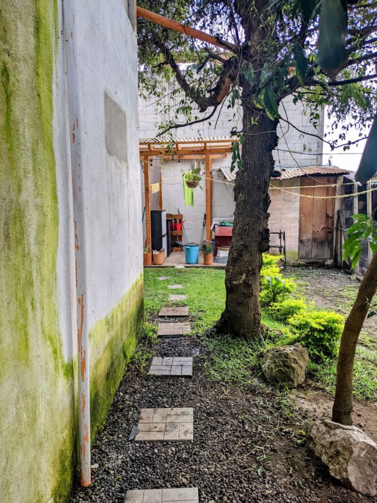 antigua guatemala two travel turtles