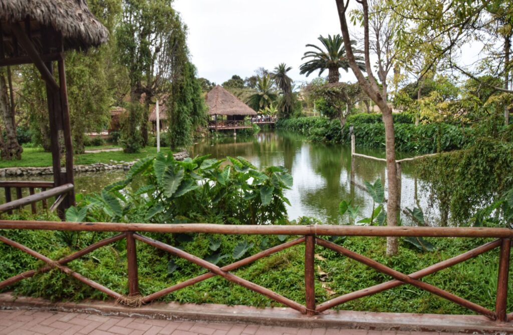 Parque de las Leyendas two travel turtles