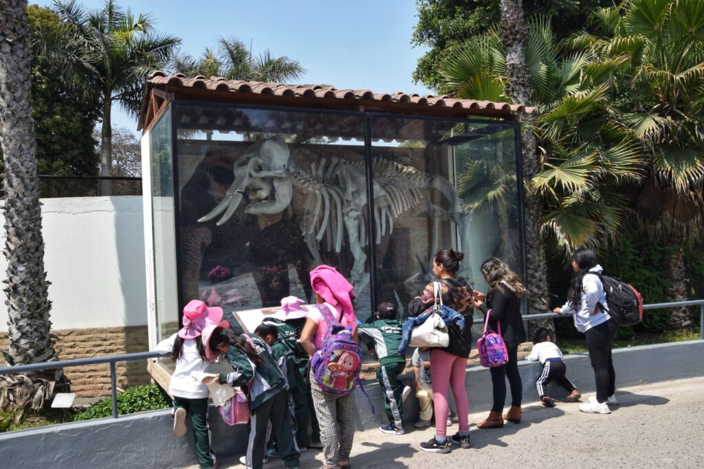 Parque de las Leyendas two travel turtles