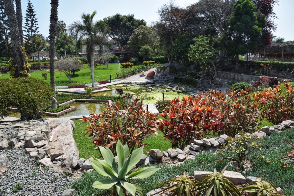 Parque de las Leyendas two travel turtles