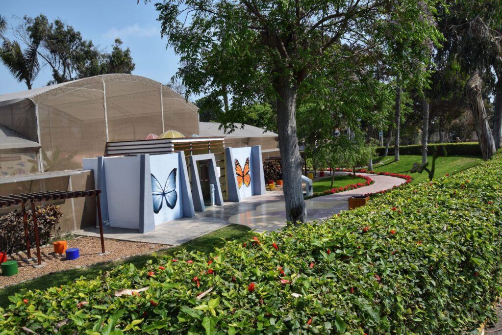 Parque de las Leyendas two travel turtles