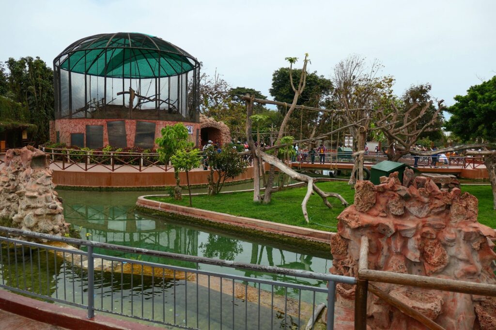 Parque de las Leyendas two travel turtles