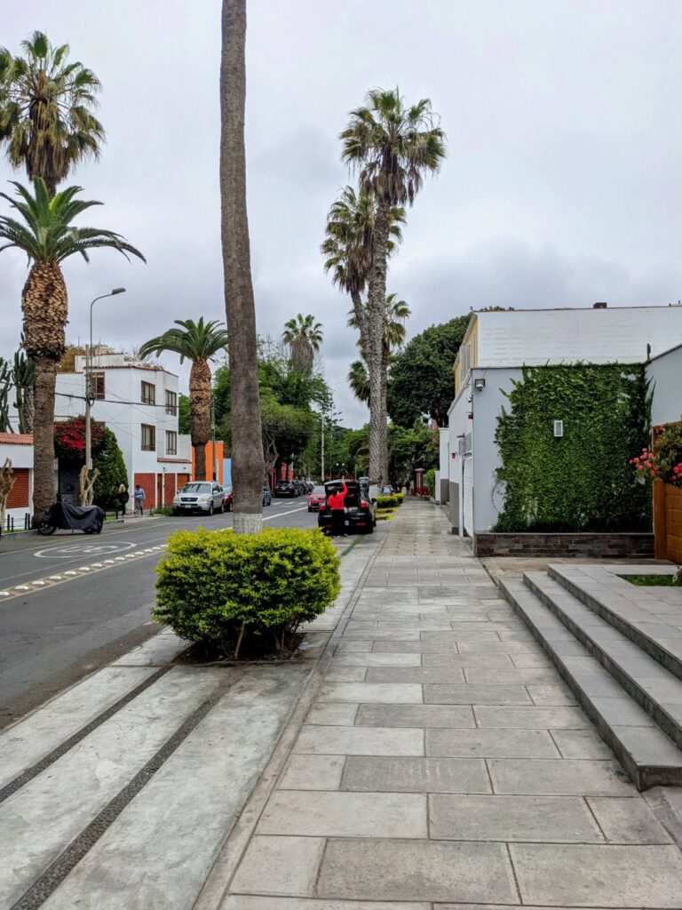 barranco lima two travel turtles