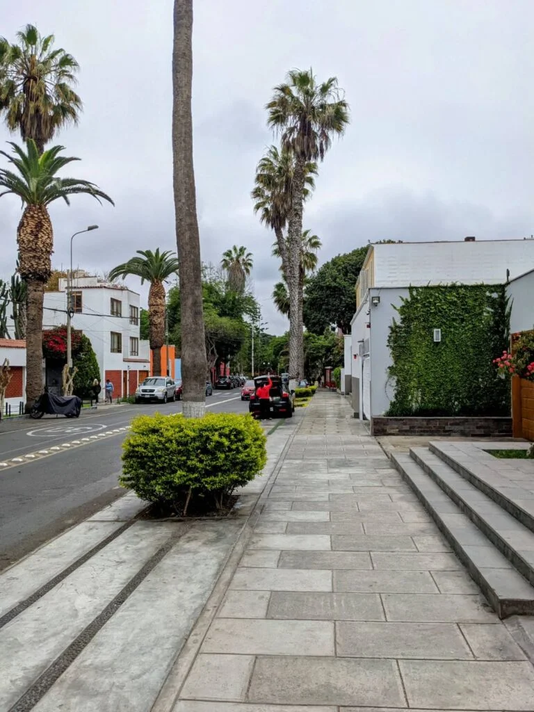 barranco lima two travel turtles