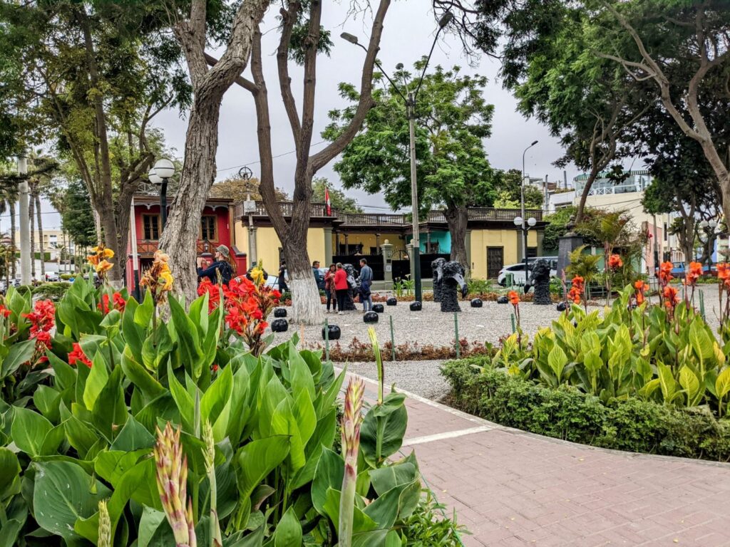 barranco lima two travel turtles