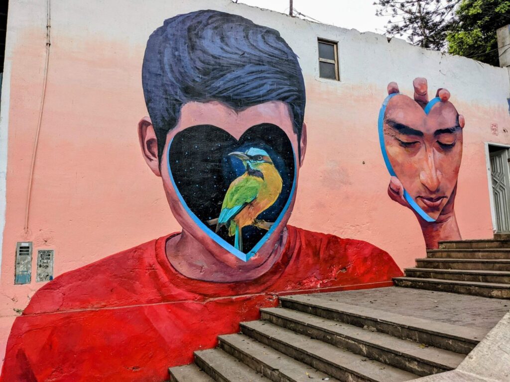 barranco lima two travel turtles