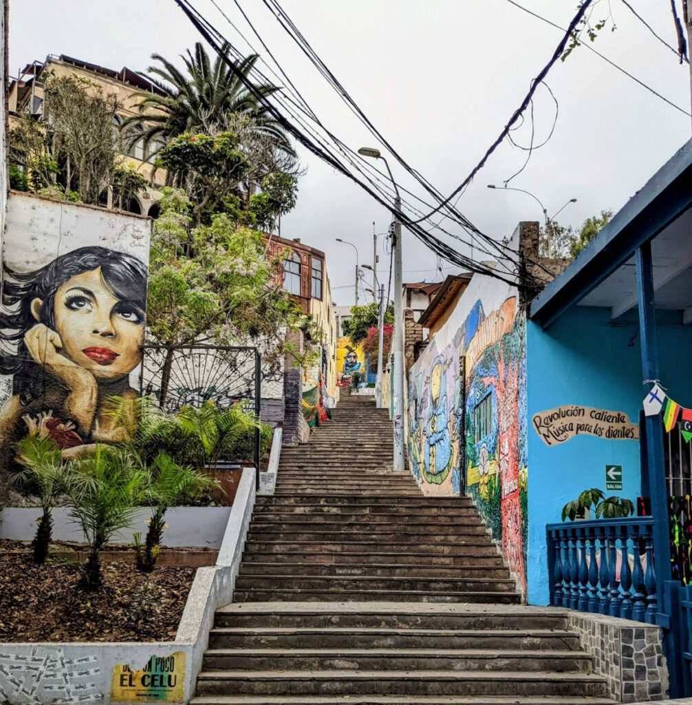 barranco lima two travel turtles