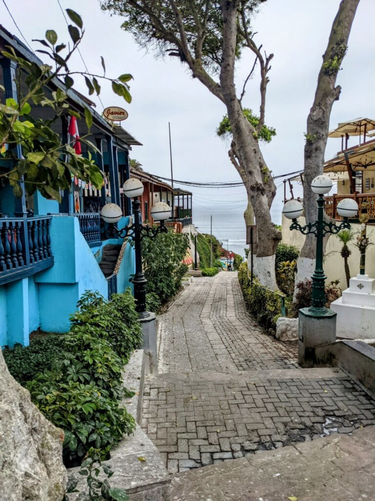 barranco lima two travel turtles