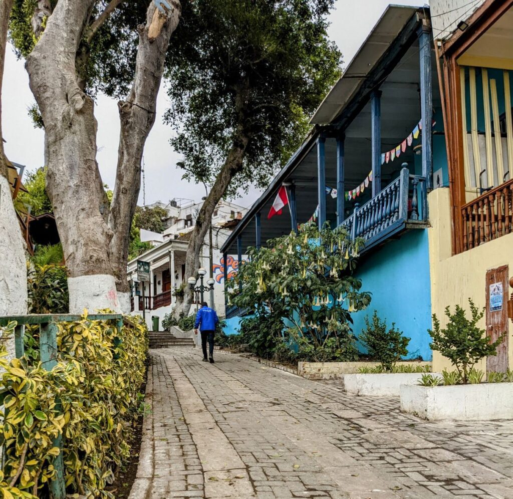 barranco lima two travel turtles