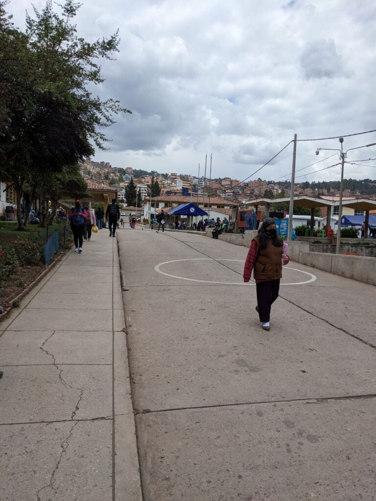 free yellow fever vaccine two travel turtles