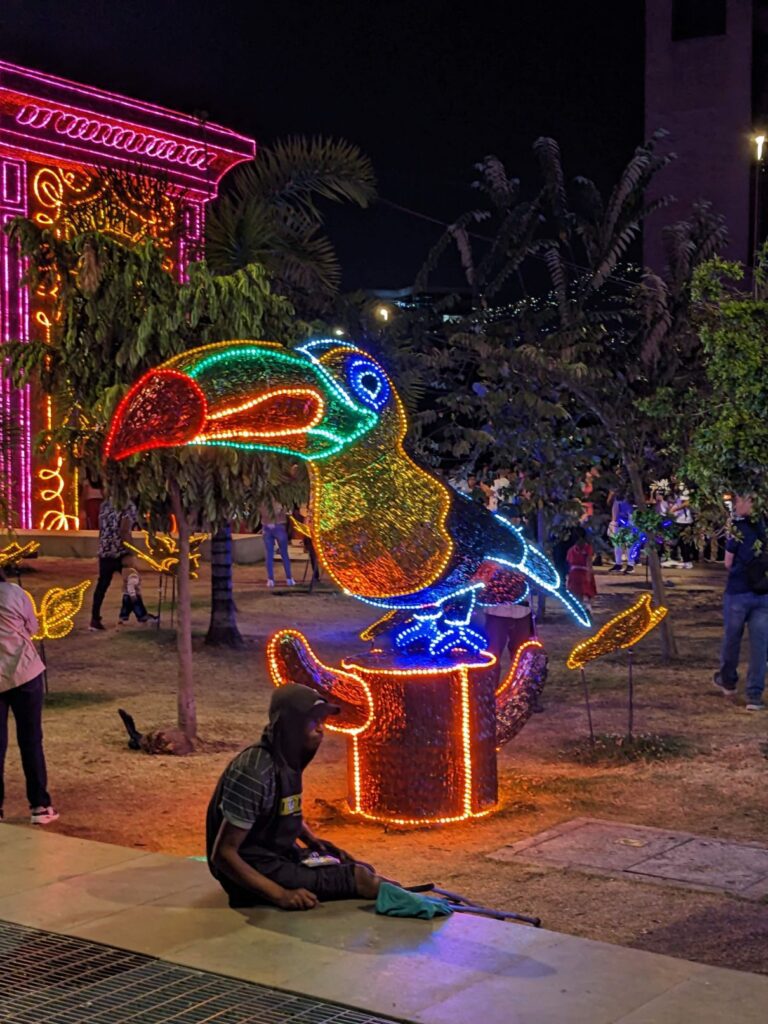 medellin colombia two travel turtles