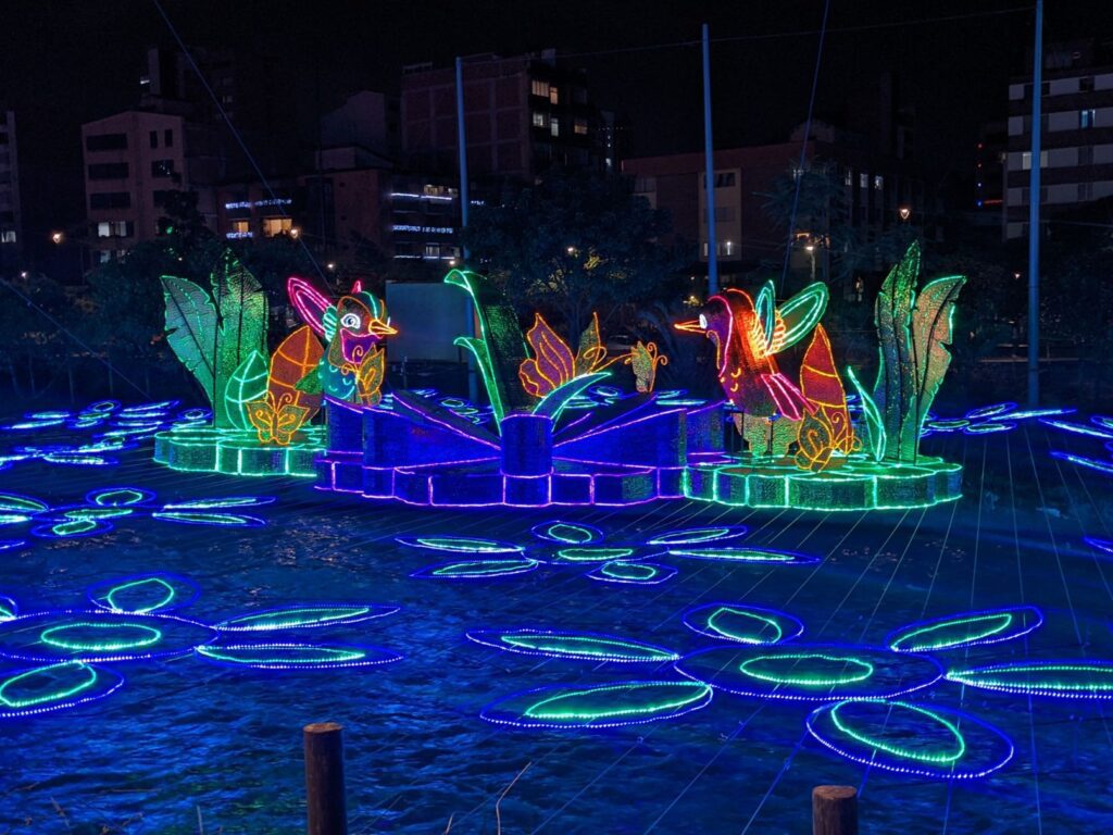 medellin colombia two travel turtles