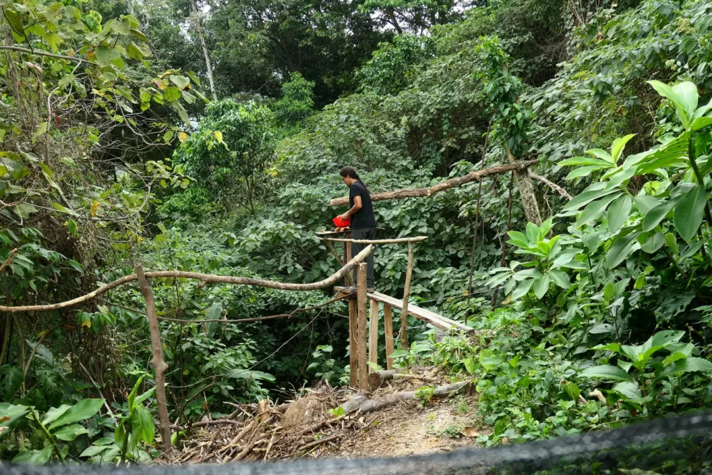 minca colombia two travel turtles