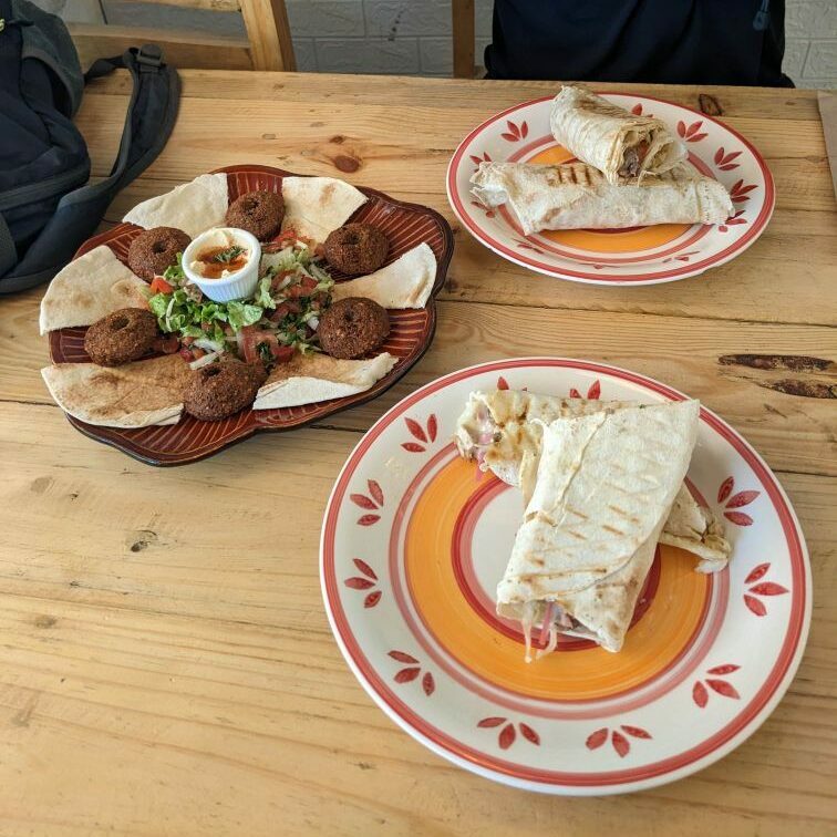 minca colombia two travel turtles