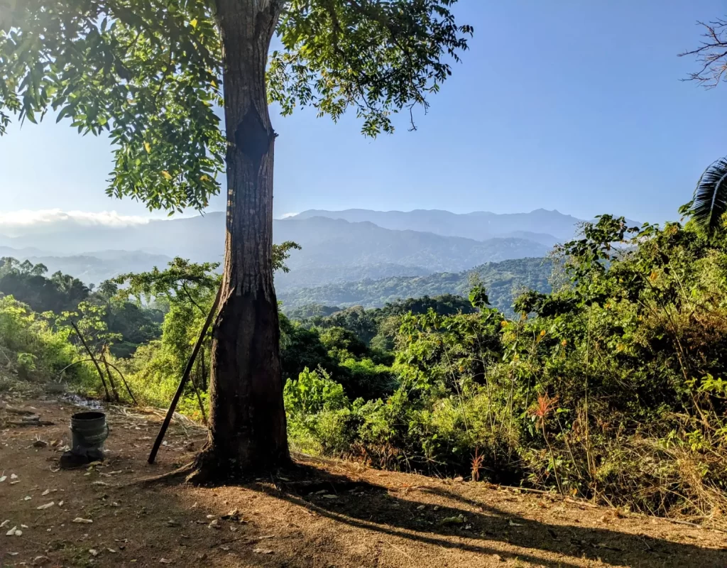 tayrona national park two travel turtles