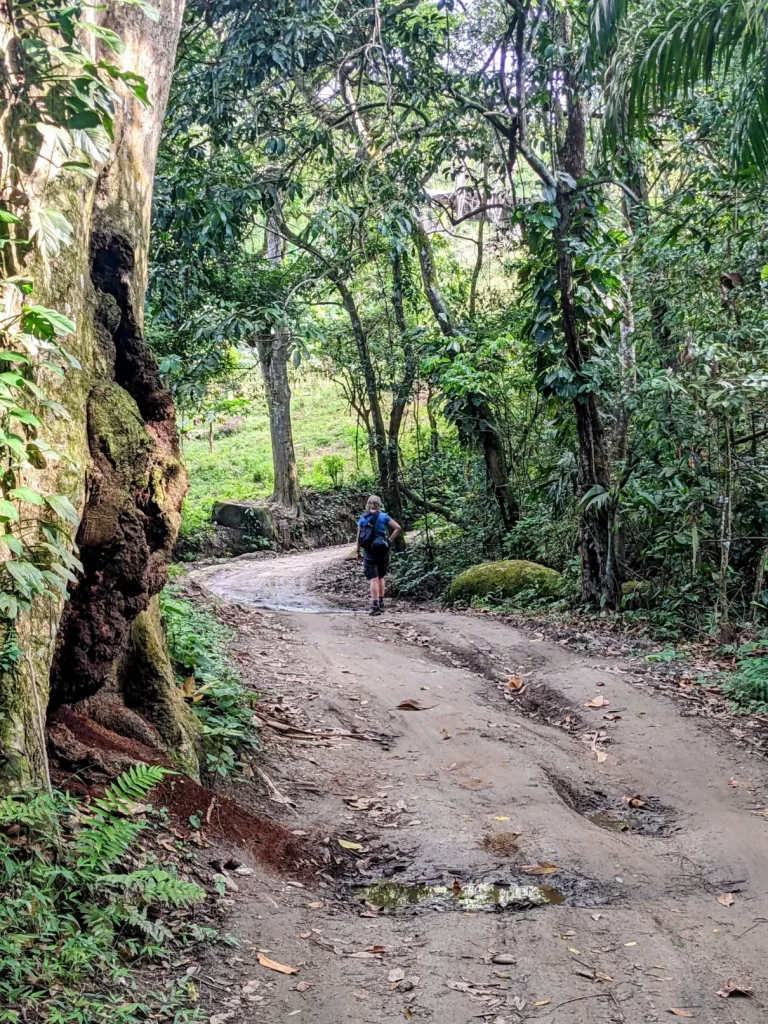 tayrona national park two travel turtles