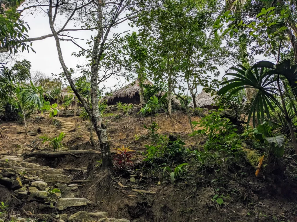tayrona national park two travel turtles