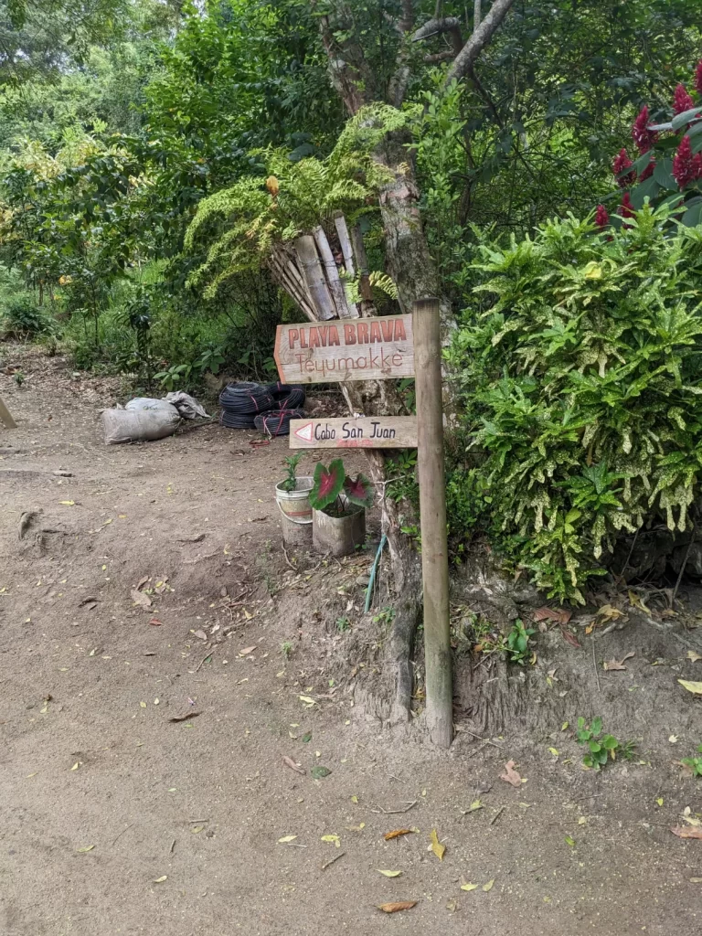 tayrona national park two travel turtles