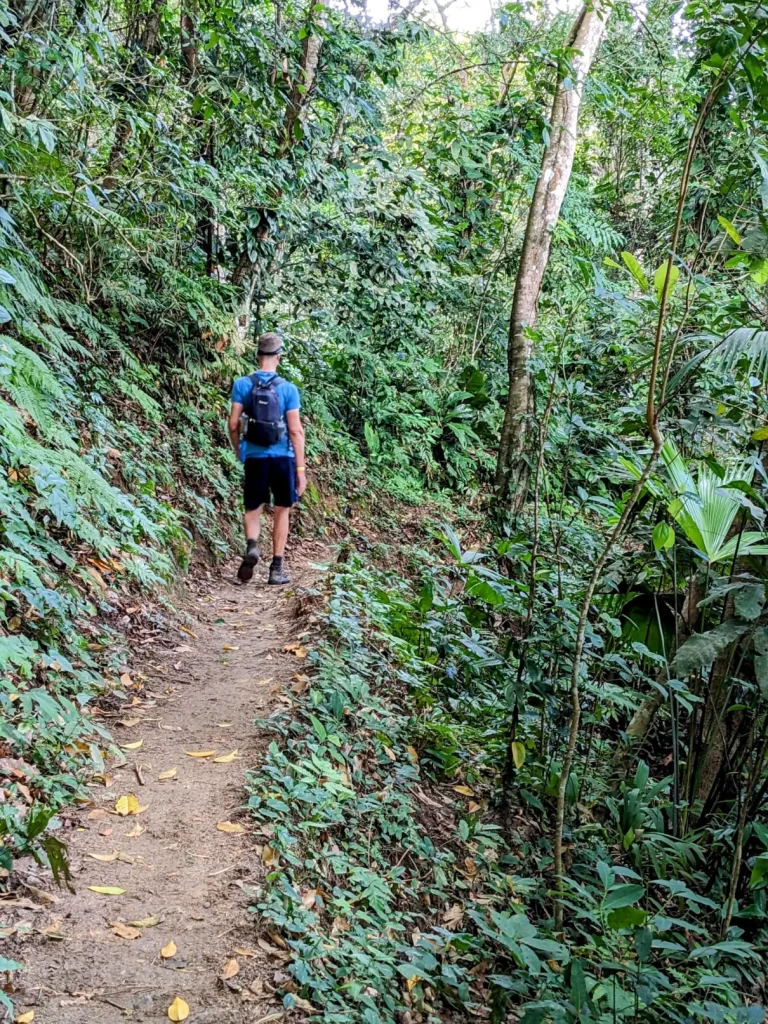 tayrona national park two travel turtles