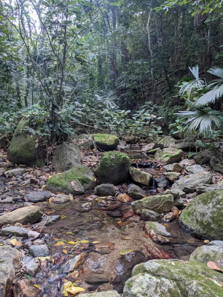 tayrona national park two travel turtles