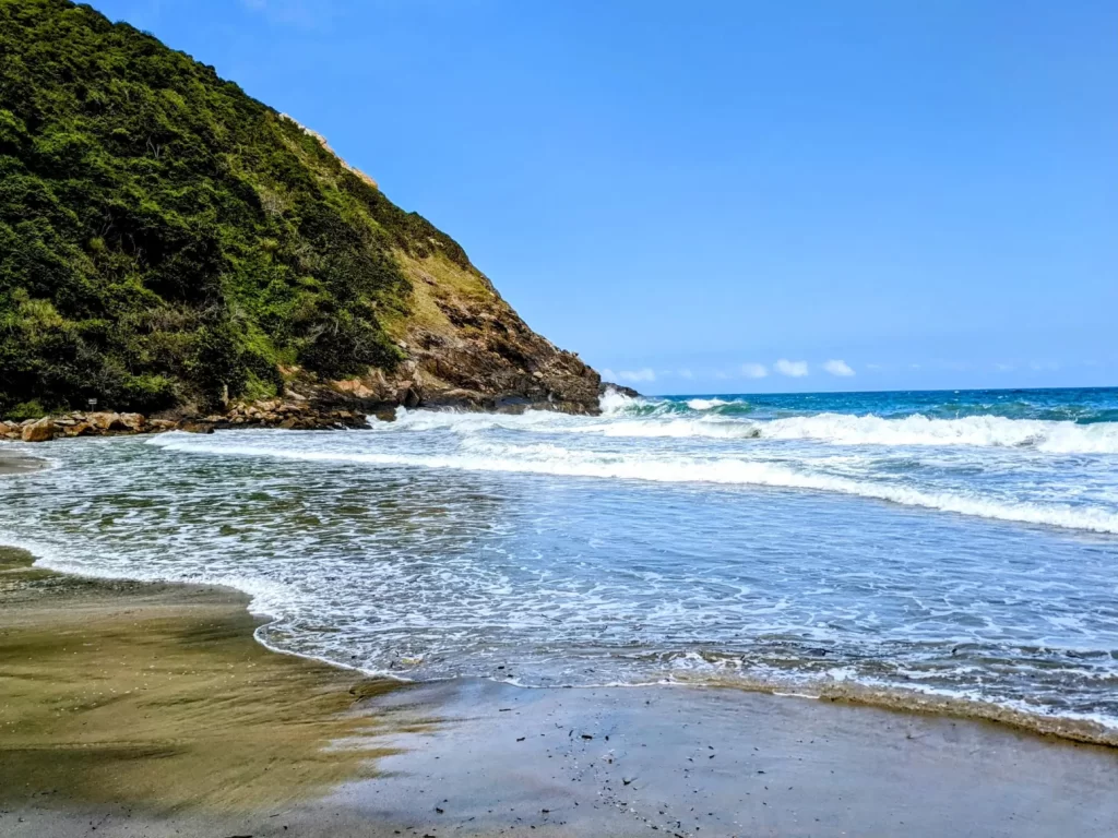 tayrona national park two travel turtles